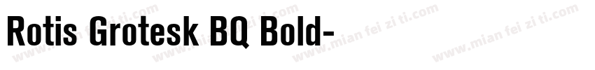 Rotis Grotesk BQ Bold字体转换